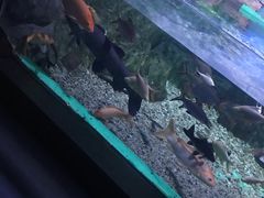 -常州海昌海洋探索馆
