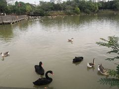 -艾溪湖湿地公园