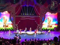 -珠海横琴长隆《卡卡虎奇遇记》