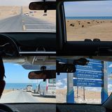 西北大环线｜你总要去远方看一看⛰️