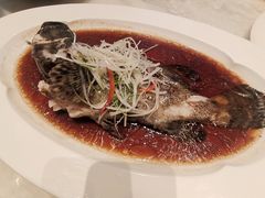 -喜来登由由大酒店九州膳坊中餐厅