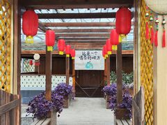 -上海都市菜园