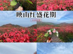-大围山国家森林公园