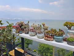 -野菌皇海景野生菌火锅(滨海大道店)