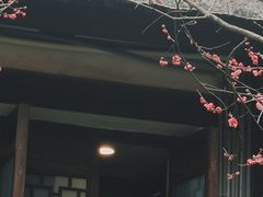 -三垟湿地