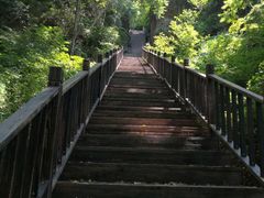 -天女山森林公园