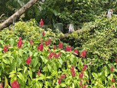 -广州长隆国际大马戏