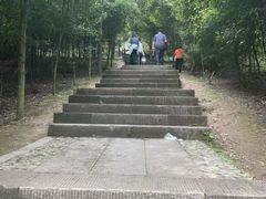 -凤栖山
