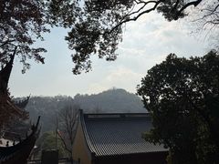 -霖公馆SPA·足道(普善路店)