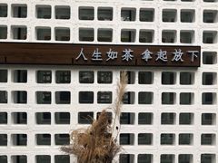 -扫雪煮茶(西村店)
