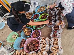 -南坛综合农贸市场