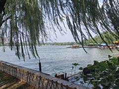 -济南大明湖景区