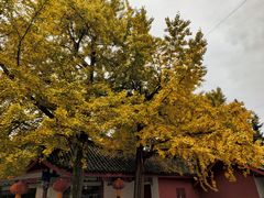 -金堂县云顶石城风景区