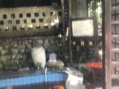 -宁海森林温泉