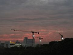 -红花山公园