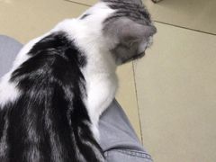 -宠福鑫动物医院(立水桥分院)