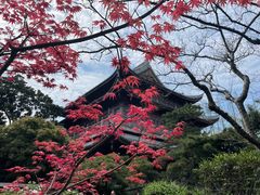 -龙华寺