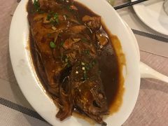 -黄山排云型旅酒店餐厅