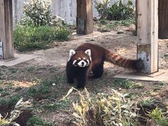 -石家庄市动物园