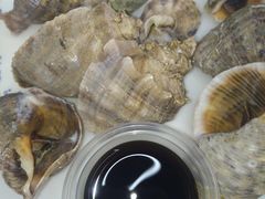 清蒸小海螺-北戴河庆山饭店·海鲜砂锅粥(北戴河黑石路店)