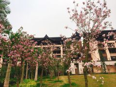 -清远熹乐谷温泉度假酒店