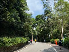 -火炉山森林公园
