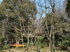 -WeLope紫金山探险公园