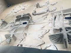 -洛阳周王城天子驾六博物馆