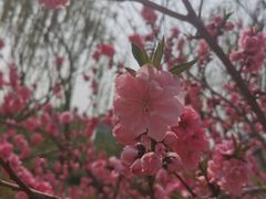 -南翠屏公园