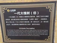 -大槐树寻根祭祖园