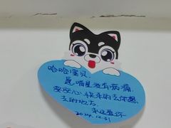 -哈尔滨银山宠物天堂殡葬服务机构