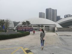 -嘉庚体育馆