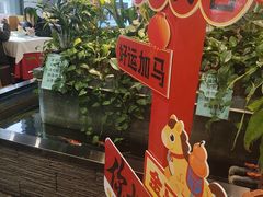 -洞庭家宴·头牌甲鱼(广渠门店)