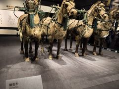 -秦始皇帝陵博物院-丽山园