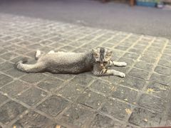 -猫岛主趣味餐厅(鼓浪屿店)