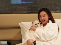 -深圳国际会展中心希尔顿酒店(前海华发冰雪世界店)