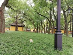 -西园戒幢律寺