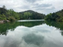 -四明山国家森林公园