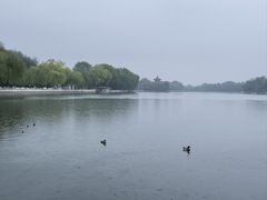 -后海公园