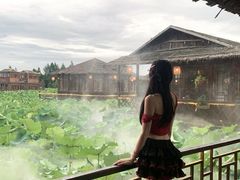 -军山湖云水间生态农业旅游景区