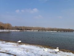 -北龙湖湿地公园