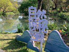 -和顺古镇