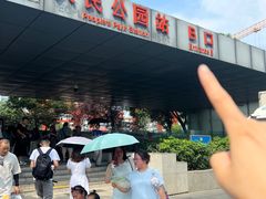 -熊猫邮局(少城店)