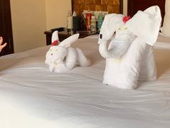-三亚亚龙湾雅高铂尔曼别墅度假酒店