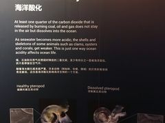 -新加坡海洋生态馆