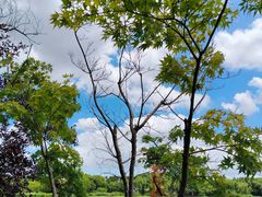 -昆山城市生态森林公园