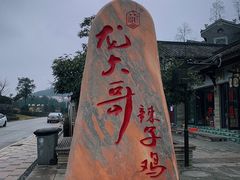 -龙大哥辣子鸡(双龙店)