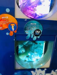 -七巧国萌宠乐园(龙湖天街店)