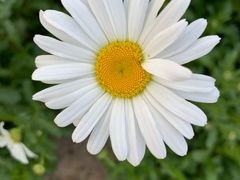 -百味地锅鸡(二店·财校分店)