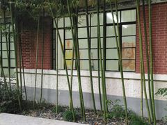 -胶囊画廊
